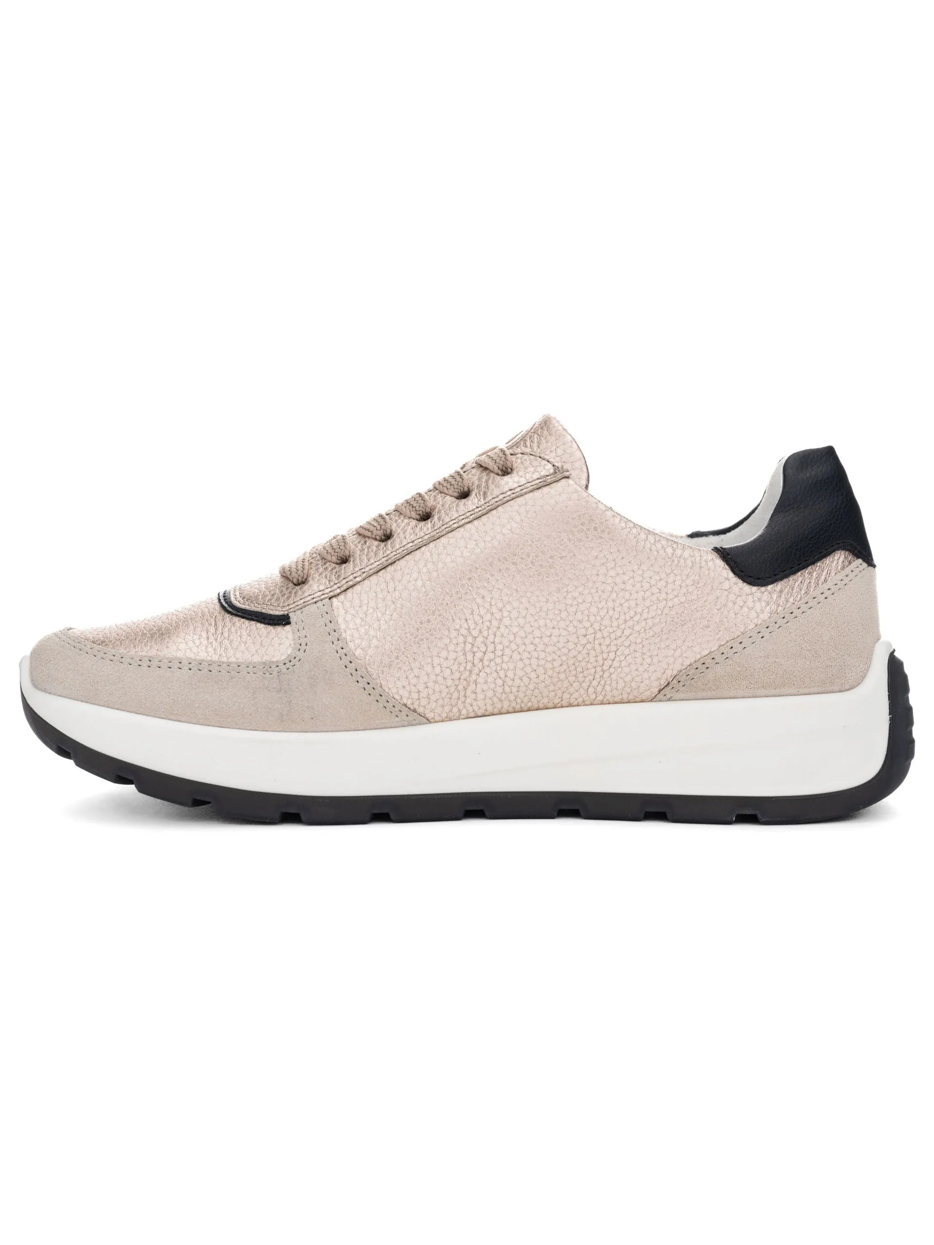 Ara New York Gold and Black Trainer