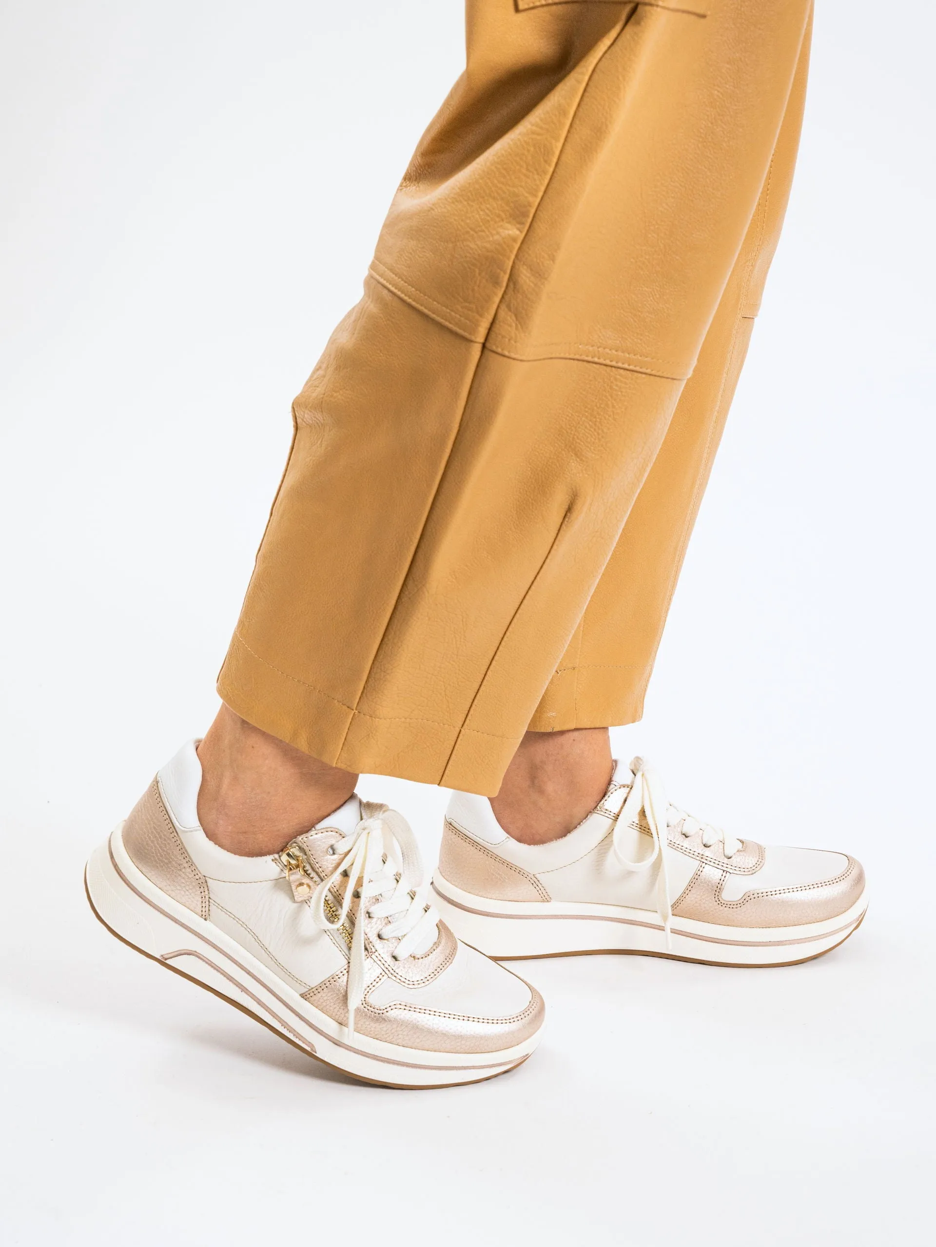 Ara Sapporo Trainer