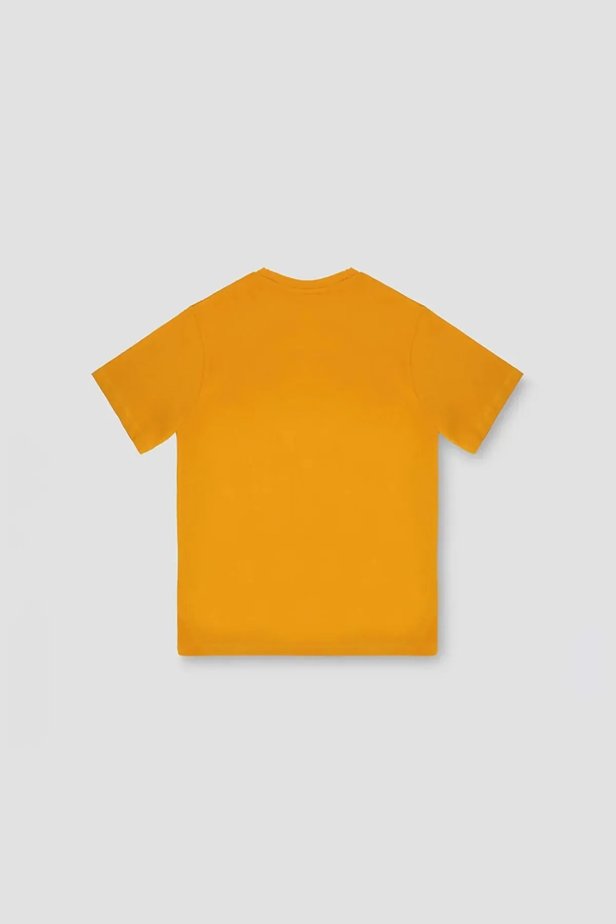 Printed T-Shirt For Men - Gamboge - New Arrival