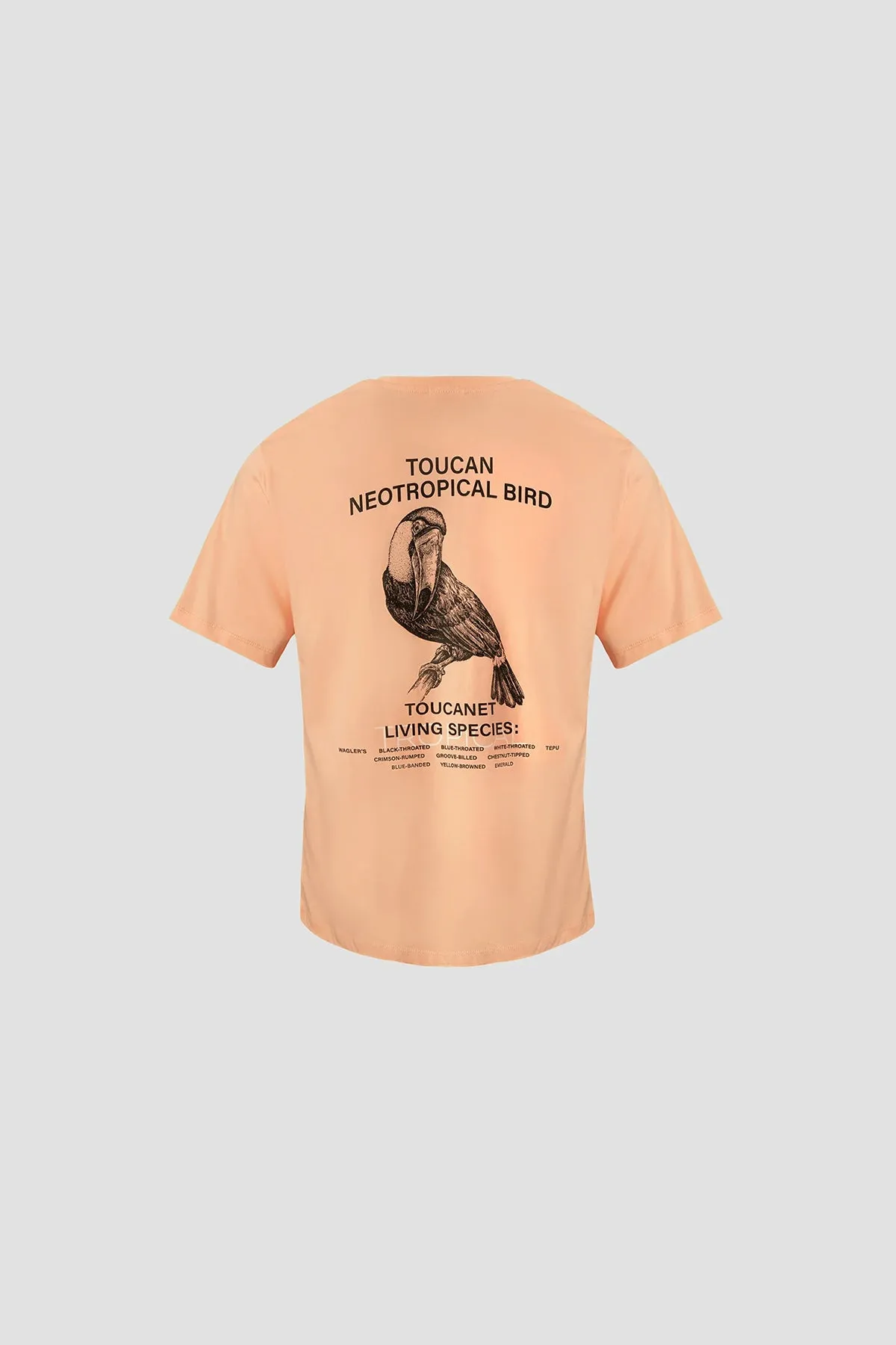Printed T-Shirt For Men - Peach